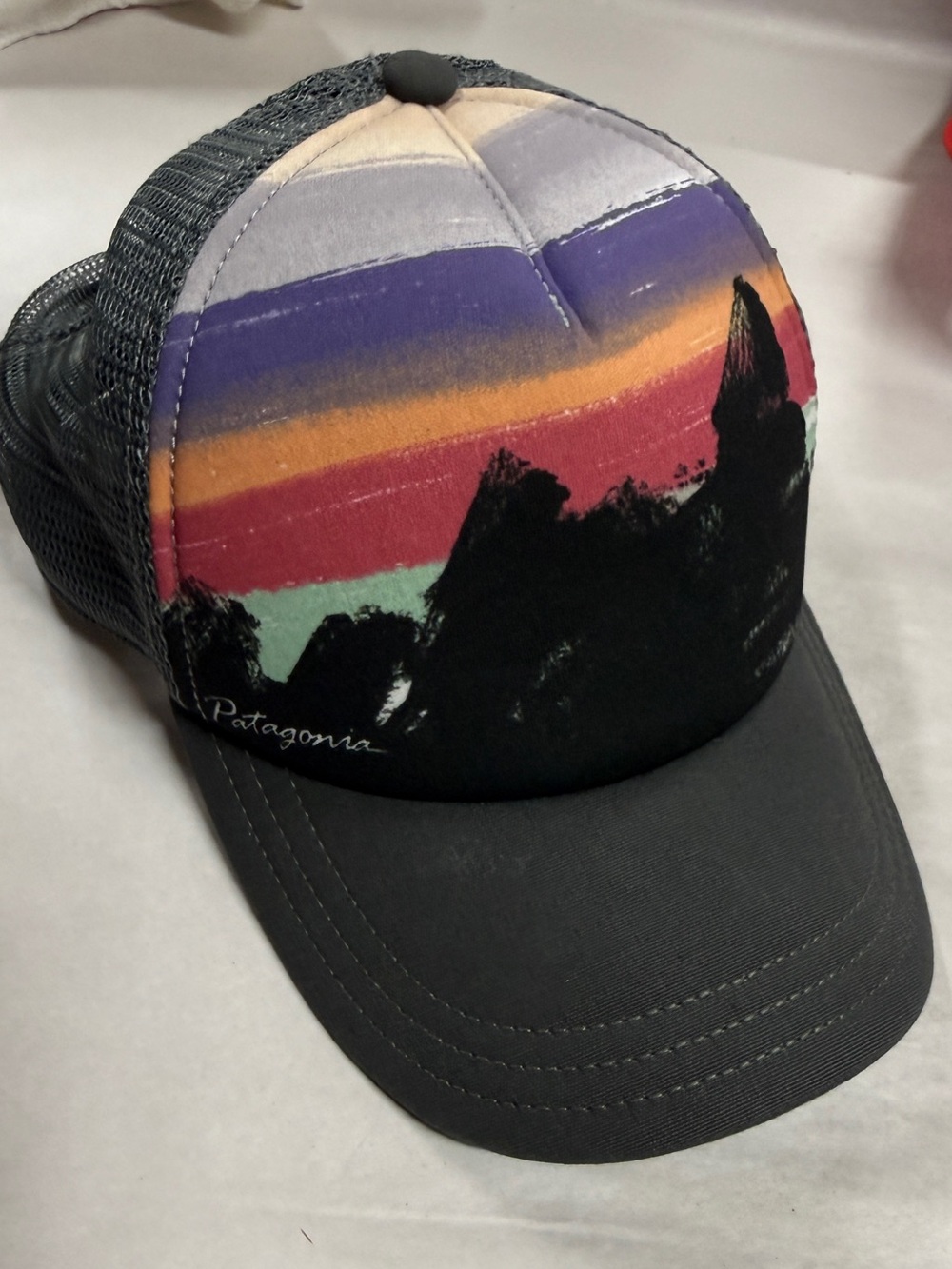 Patagonia SnapBack Cap